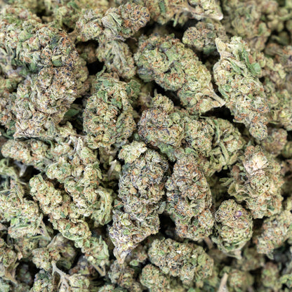 Walrus Kush Flower - Hybrid - THCA