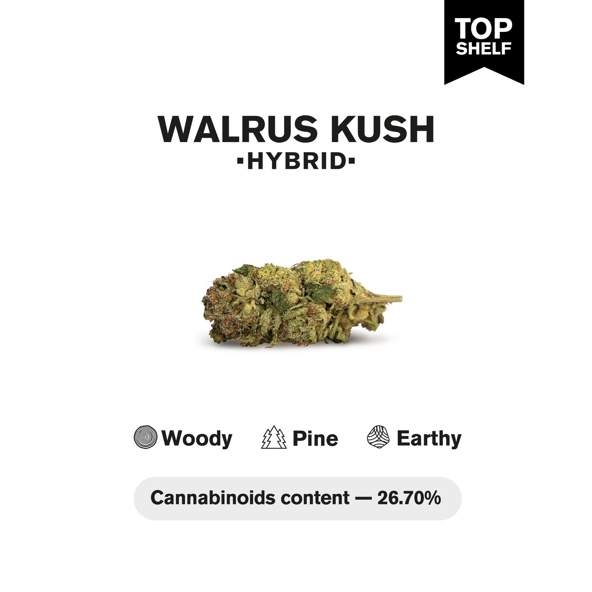 Walrus Kush Flower - Hybrid - THCA