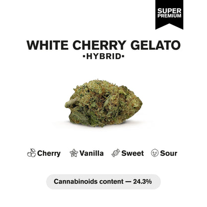 White Cherry Gelato Flower - Hybrid - THCA